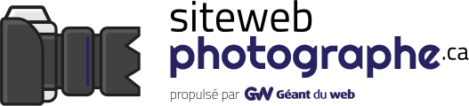 Conception web pour Photographes - Géant du web